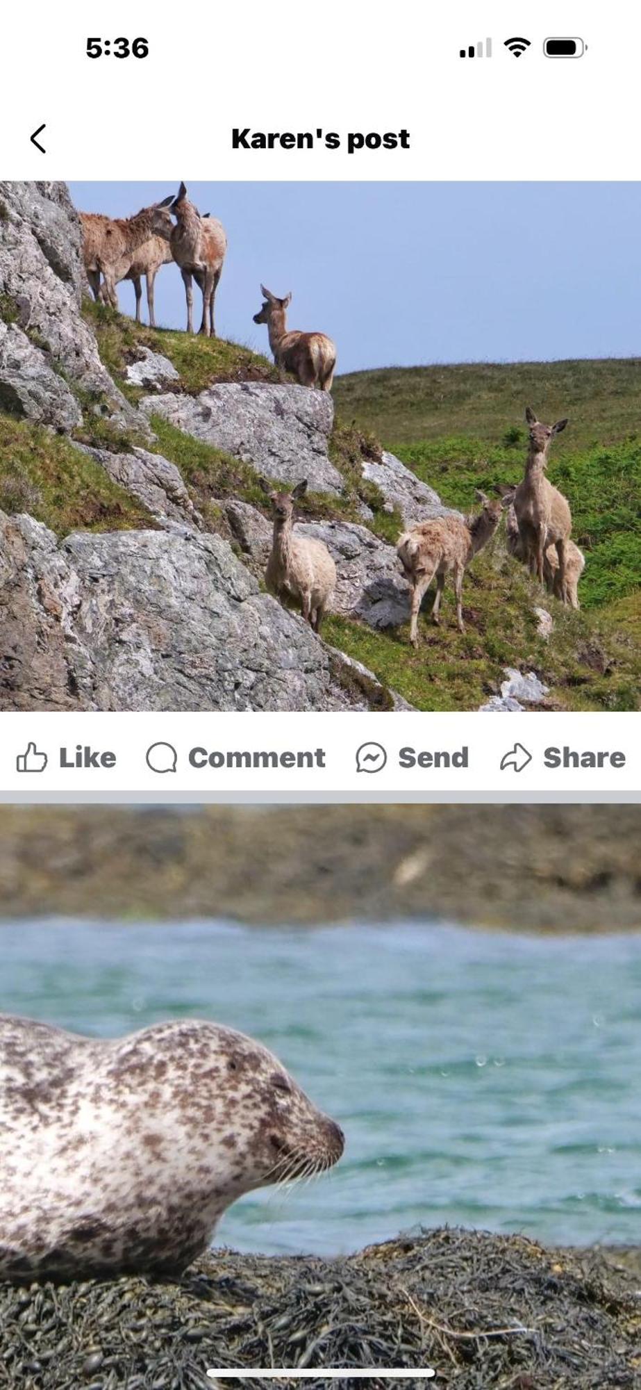 Paible Seas The Day - Self Catering Lodge North Uist מראה חיצוני תמונה